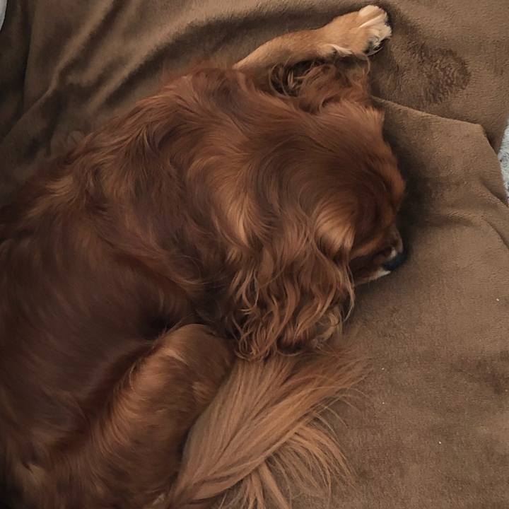 71bc2a02 32a8 4ea6 bd85 bdca00c220ad 1636759463738