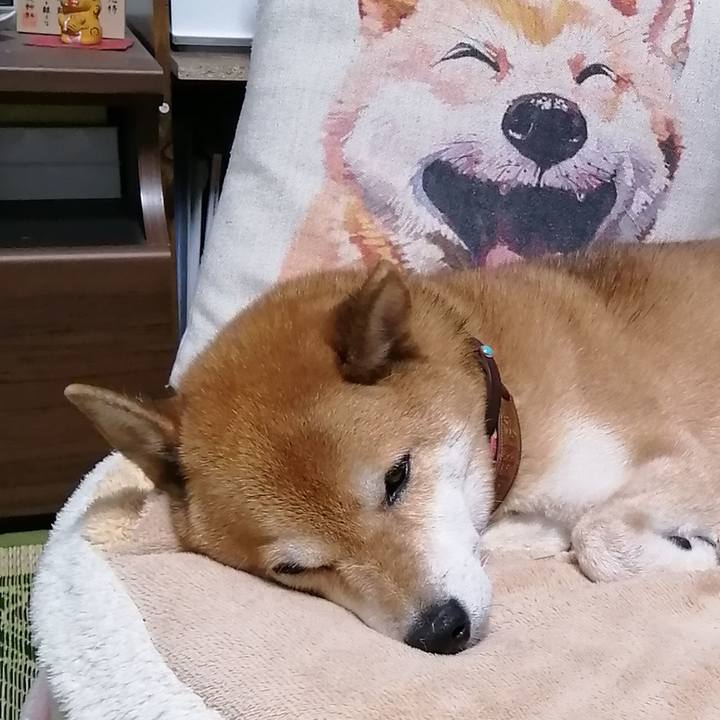 71bc441b 09dd 4ec7 99cd 862aa865b59b 1664203068183