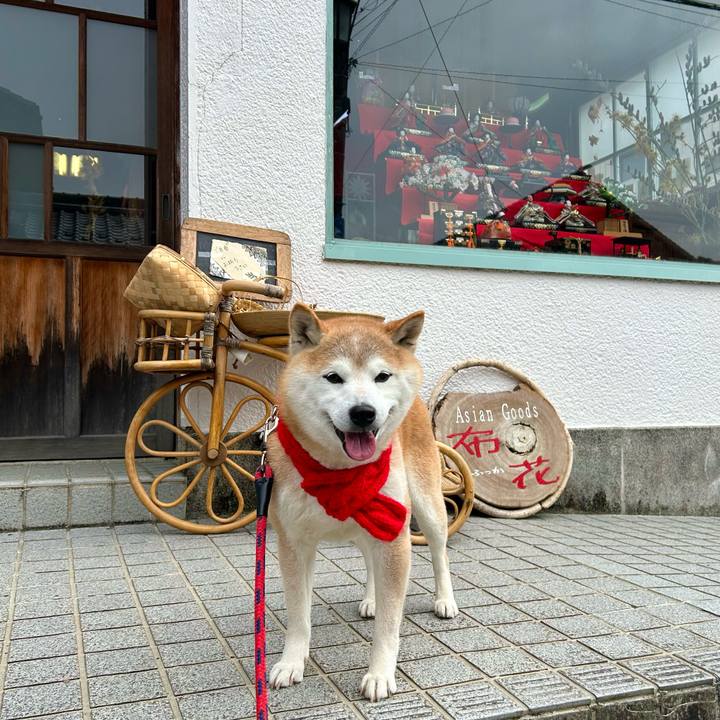 71bcb2cb 2bcb 42ca a760 00a093cd7371 1741520594218