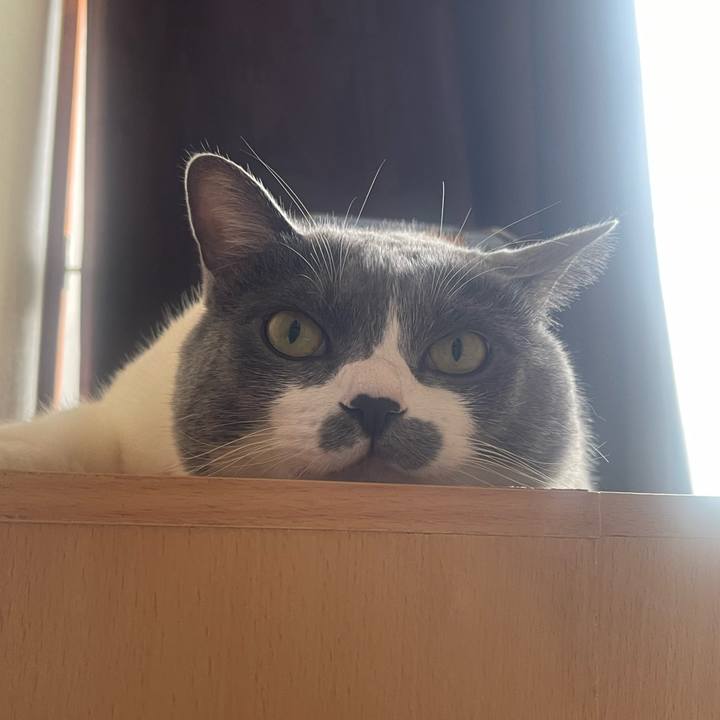 71bccb5b a0f2 4047 8936 87c13322c795 1728175110274