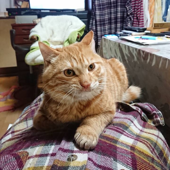 71bd096b b6e2 433b 8da7 91d5c0becd71 1640688440501