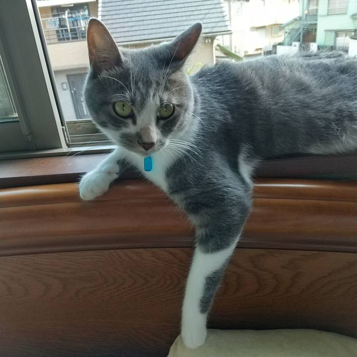 71bd1fd1 cce4 4126 a7aa 20f17ec49cbb 1597530602750