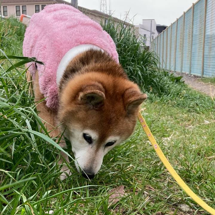 71bdb2f7 4a42 49bc bc91 a4b754077859 1774399611957