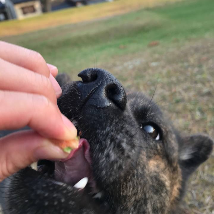 71bdd1cf 76de 4aa7 aa39 9f6659df87fb 1523525503041