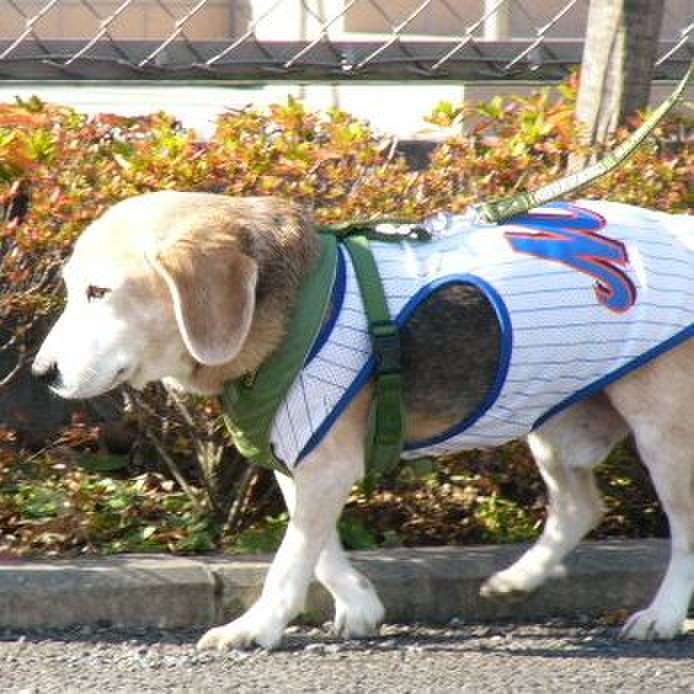 71bdd981 8ebd 4df2 9456 d52cf611f47b 1673140439871