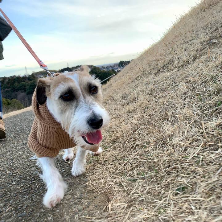 71be1070 397a 4349 b778 b14981958328 1644133312210