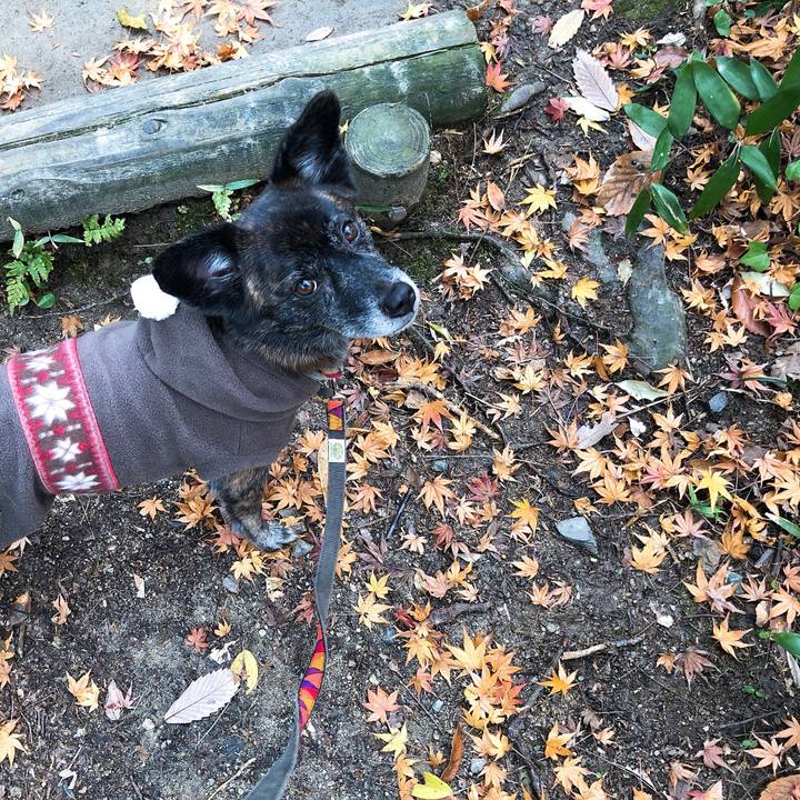 71be24b0 bd5b 4eff 9b66 f37822f4d569 1575787186912