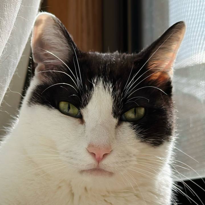 71be3d3d 6660 43e7 afc2 e8f5b8755dbb 1682989466413