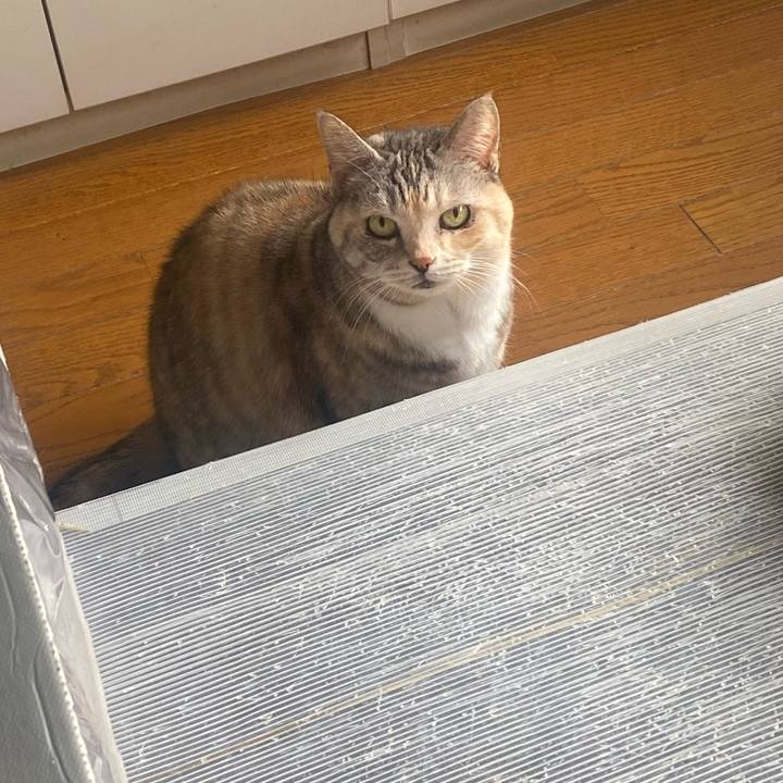 71be4849 83f9 4c58 8440 b983b46b2ca8 1675472235099