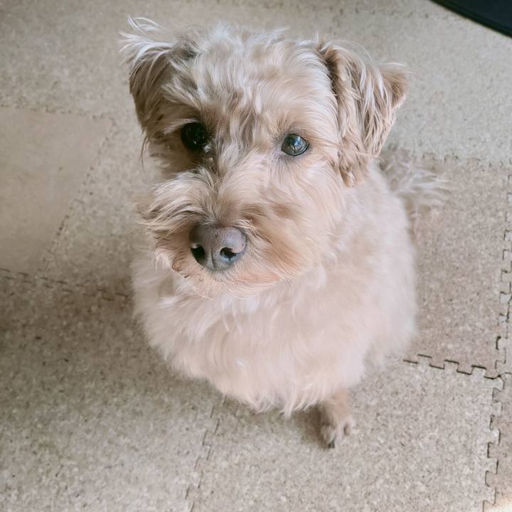 71be504b fc1a 4435 8e86 6a7d01a5a8e2 1613799100928