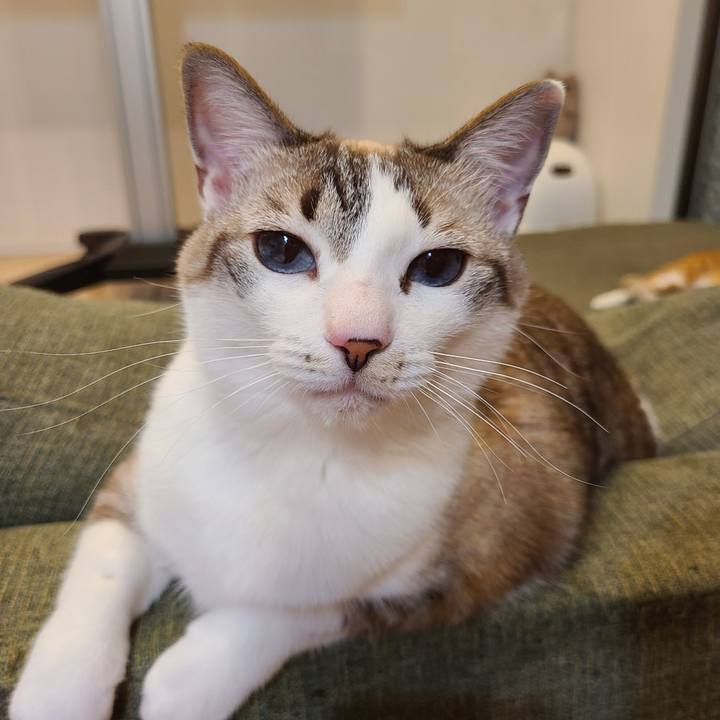 71be5a24 14d8 40b9 b9c2 cbcacfdd4f97 1654097031884