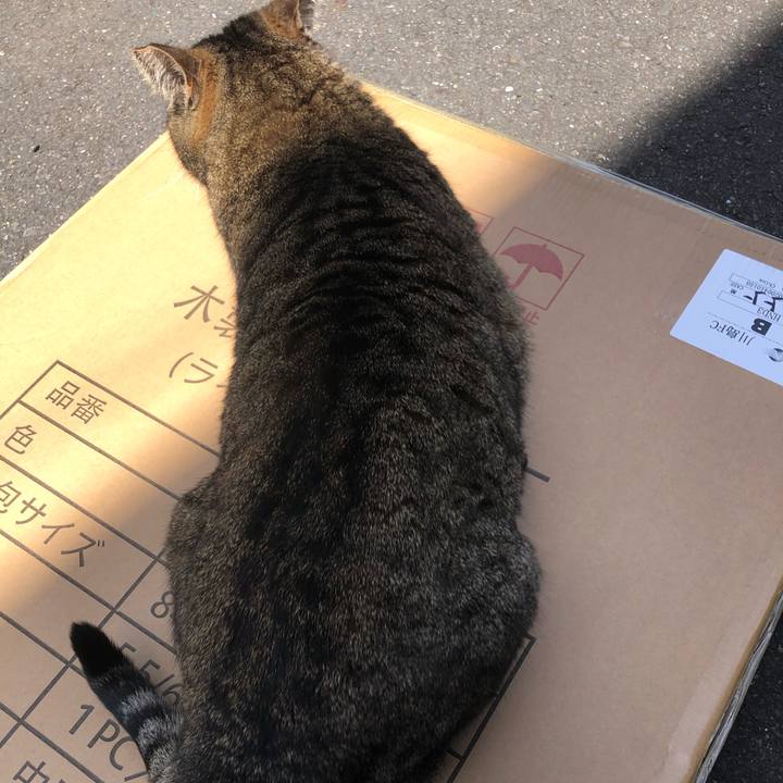 71be671a 2340 4c28 9d90 612688aee0f7 1587888047948