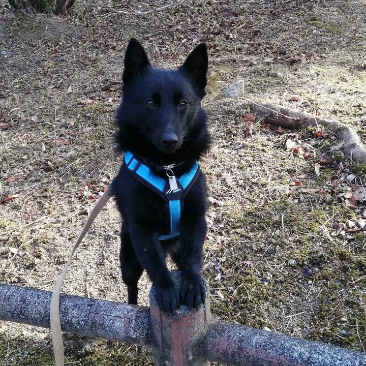 71be90ef e438 4d9f 8c21 c553157fcc87 1642293646578