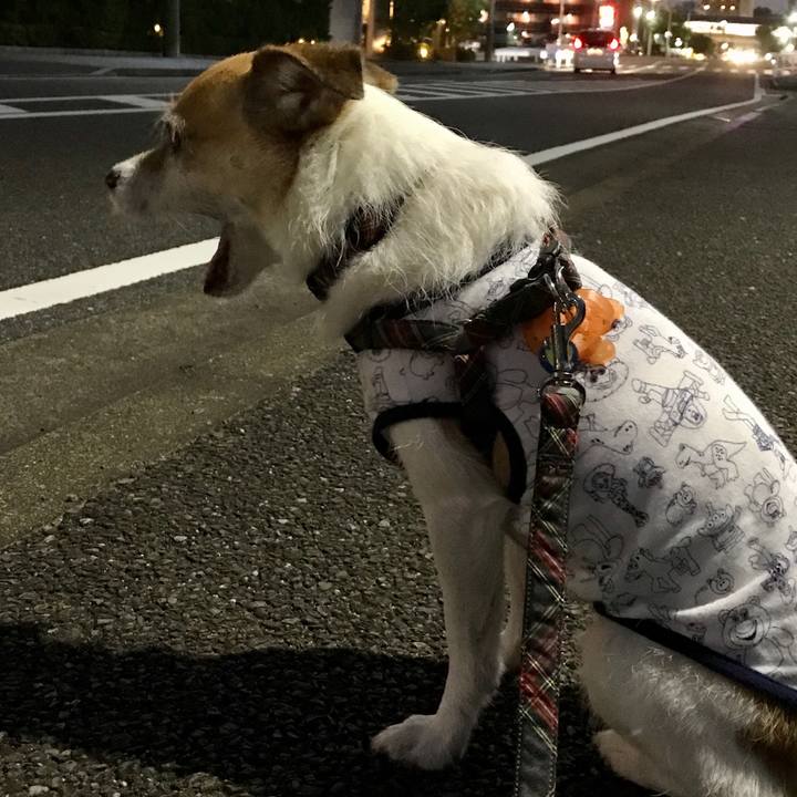 71be9c3c 077c 4aa6 8d42 923aa47b339a 1597487110909