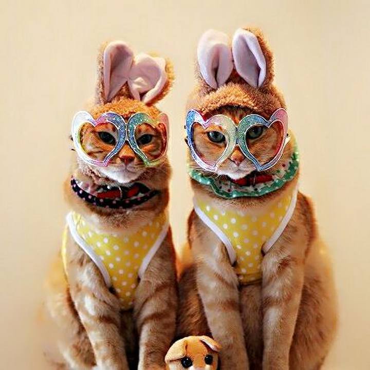 71bec83e f395 4acc b9d8 f2231f3ab64f 1513133425009