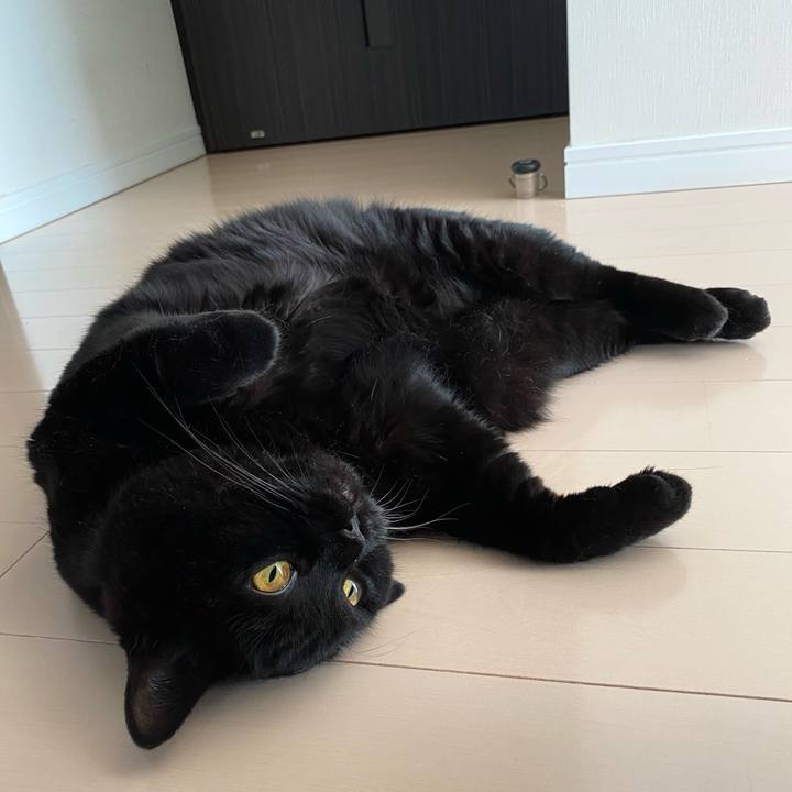 71bf000f 3600 476e 9a45 09183438eb7f 1689987226141