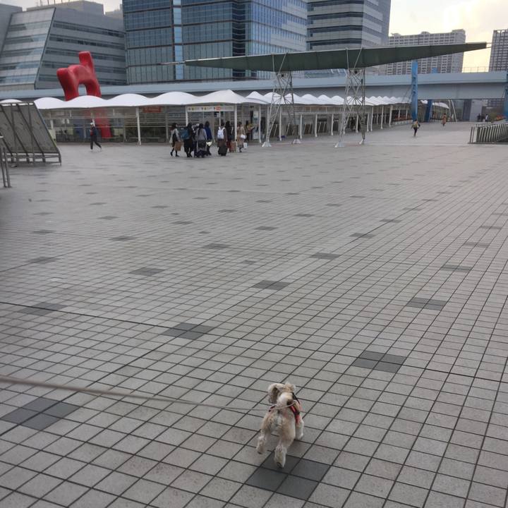 71bf305e 8454 4590 85ca 4f721b628e88 1554029540428