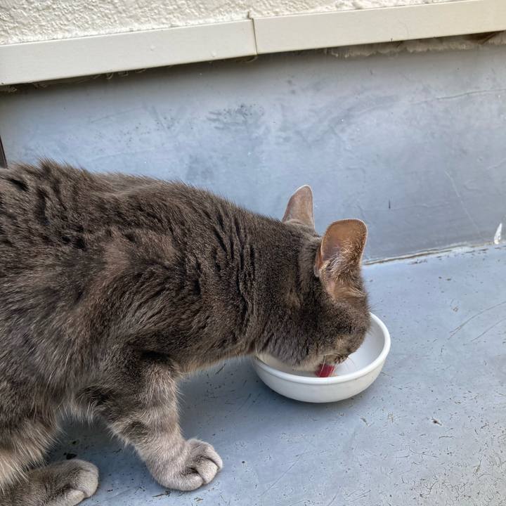 71bf7a26 09b5 4ead a297 06f334b9ccd2 1687177051087