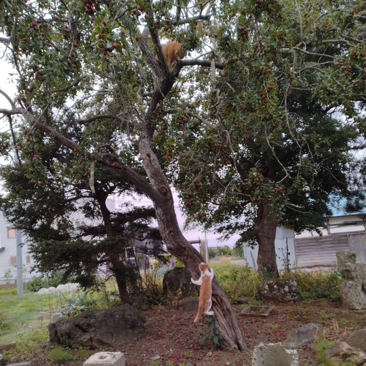 71bf7e90 e7dc 4536 932f 0b5b66f530da 1729114960602