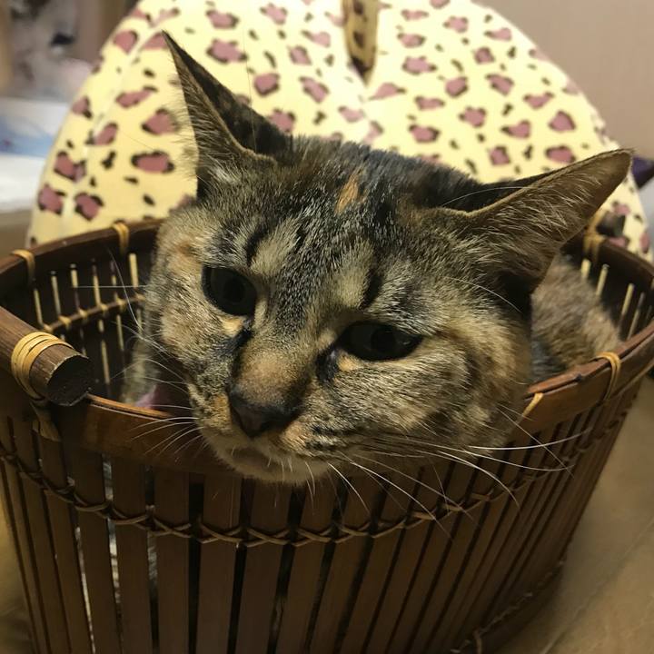 71bf7f2e 196a 43ed 9653 3a6bb578b004 1521704506176