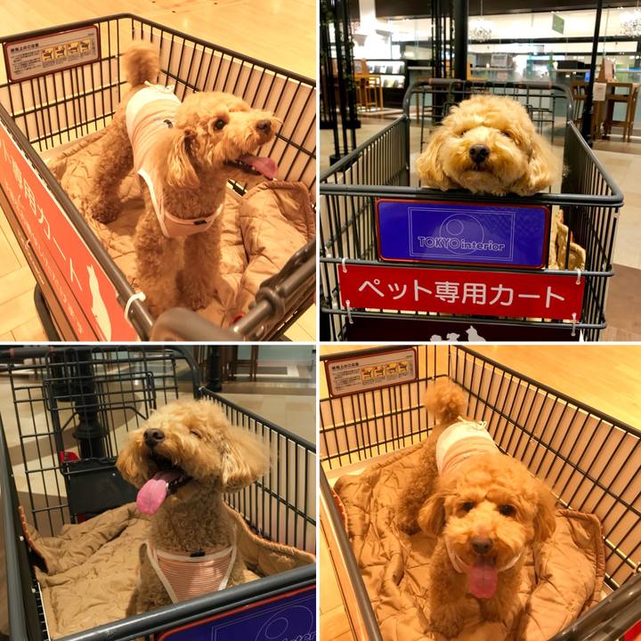 71bf9501 819b 497f 80a8 4cc3ccf0870b 1524655972596