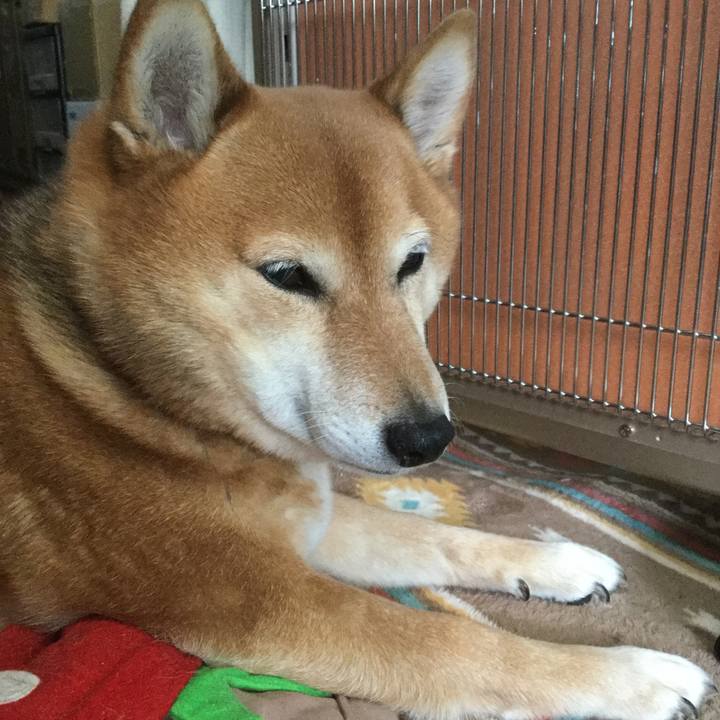 71bfc1cc 5593 457e 8775 59687f7b3960 1549617033469