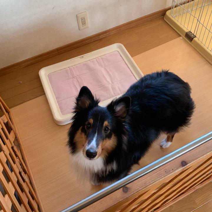 71bfd684 9fd3 4ad3 a542 42494123aaf7 1546901477682