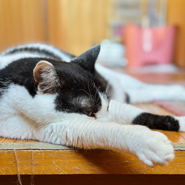 71bfd7a2 a1a6 4378 9db8 57fc200e3d6d 1723075089191