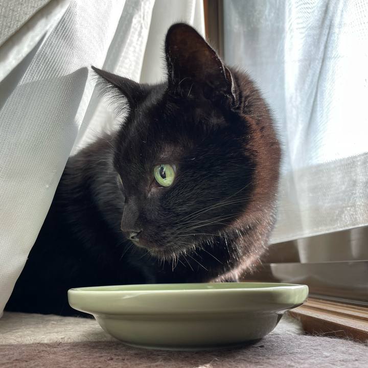 71bff7d6 8349 40fc 84f5 3e0cc7f62983 1638065664029