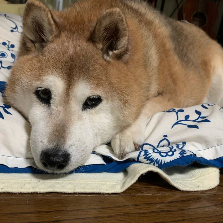 71c00988 1bbe 4802 bd1e 68818e2f34ee 1572524504526