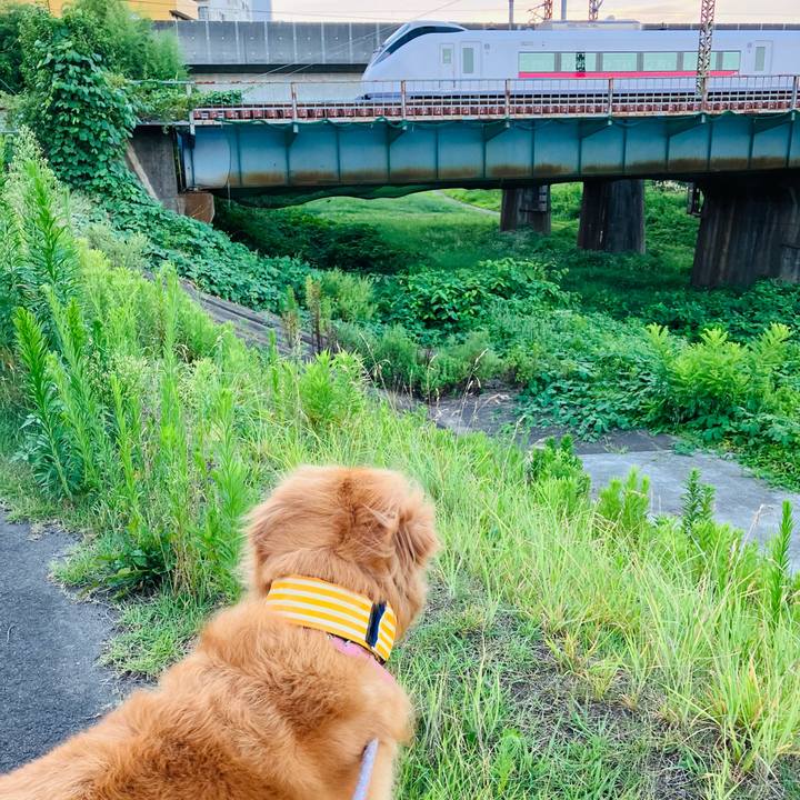 71c02b54 86c7 43e6 88ca a07943c352e6 1722998334855