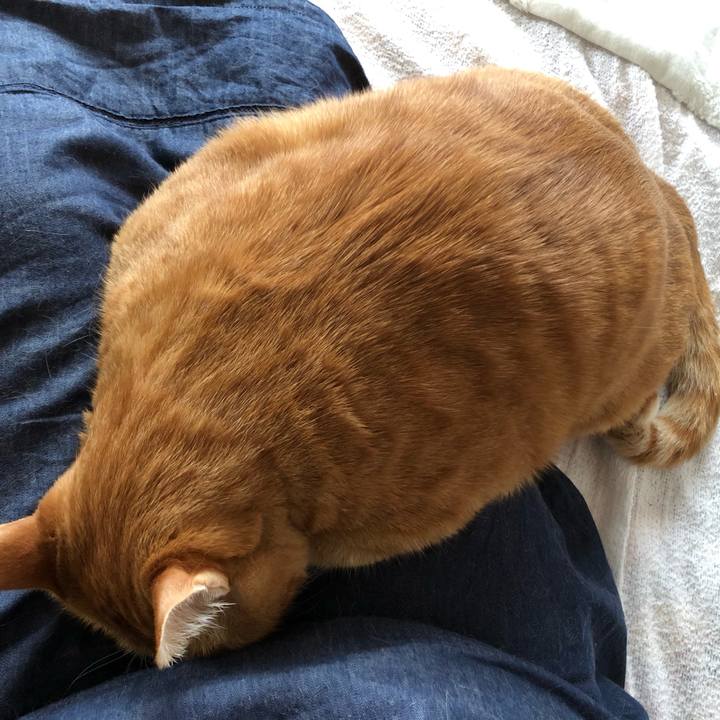 71c0328a 8259 4d0f 84cd b248e68a0add 1618645699135