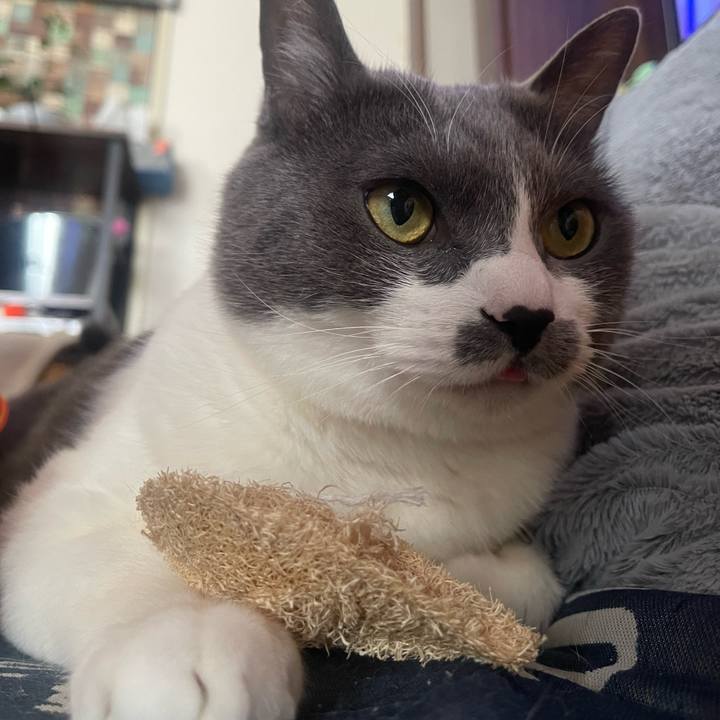 71c03318 5b90 4218 b533 3ce8d1229587 1748475242410