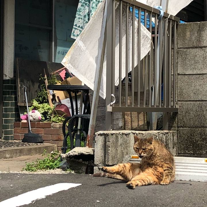 71c05035 6e74 4d76 af06 99a731a7ed70 1589716639634