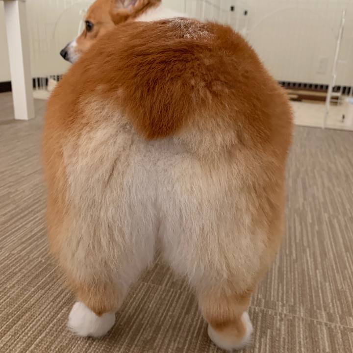 71c0563a c0b7 4019 bdfc 4104717a5b23 1556776394435