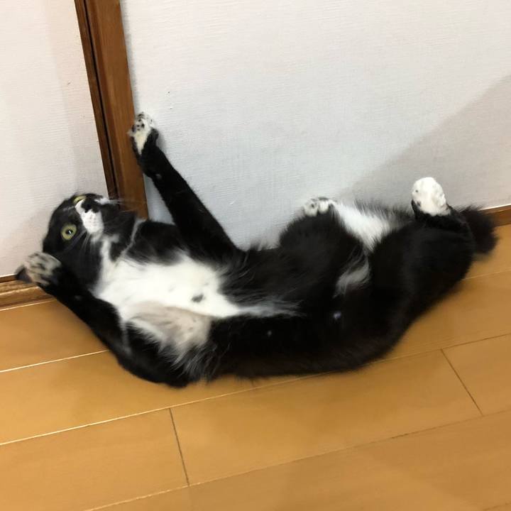 71c06bc3 f9c5 4d5b a543 e639921f3190 1522813768964