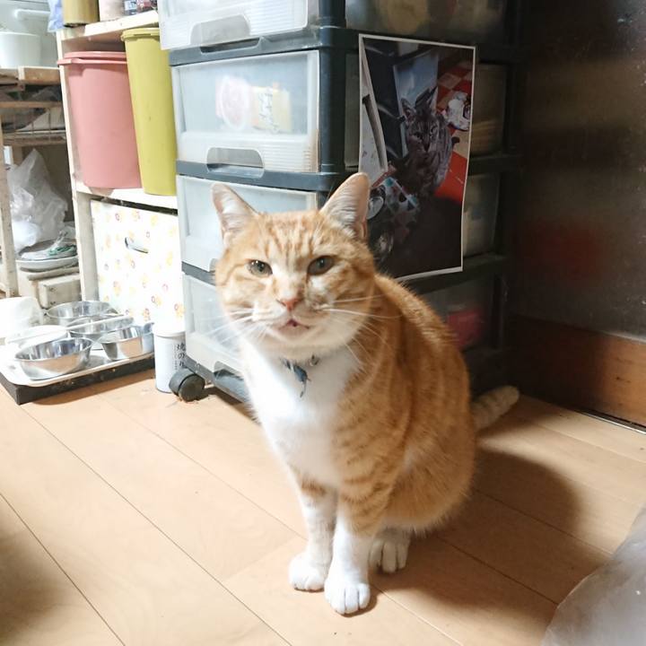 71c072a1 6a71 4976 b2d1 53a109c40679 1607589991917