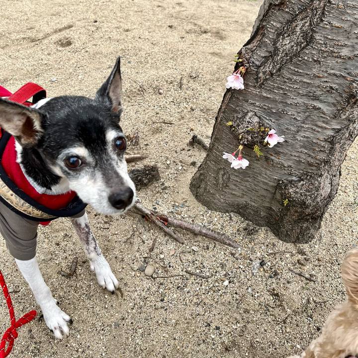 71c0bab5 5045 4e46 81dc 8eabccc5f445 1648526295720