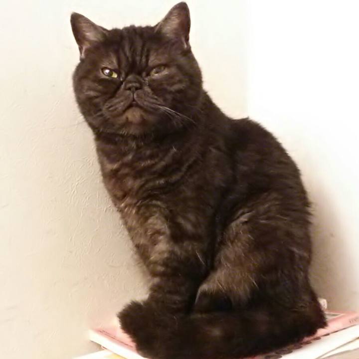 71c0c6ea bf5e 48e5 9d34 ccfa027db1a9 1561272972751