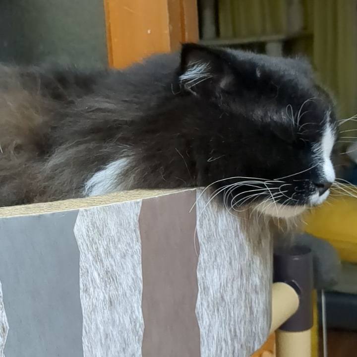 71c0eb0f 8343 4b5e b8ab 0fa0b94e253b 1668951524962