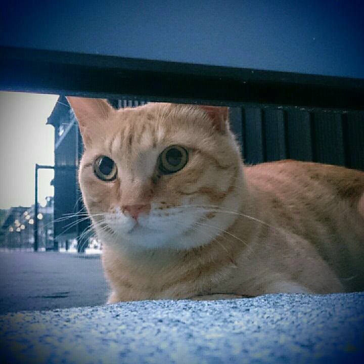 71c0efca 74cf 4ee9 a70a 255306d3fba8 1530180506494