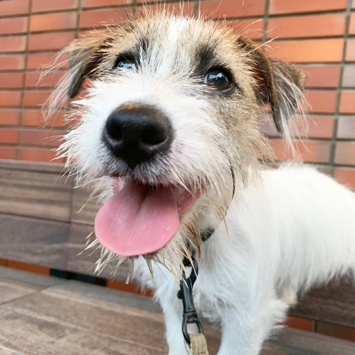 71c107e0 5f4a 44bf 812c 20ae27b73b51 1565864734282