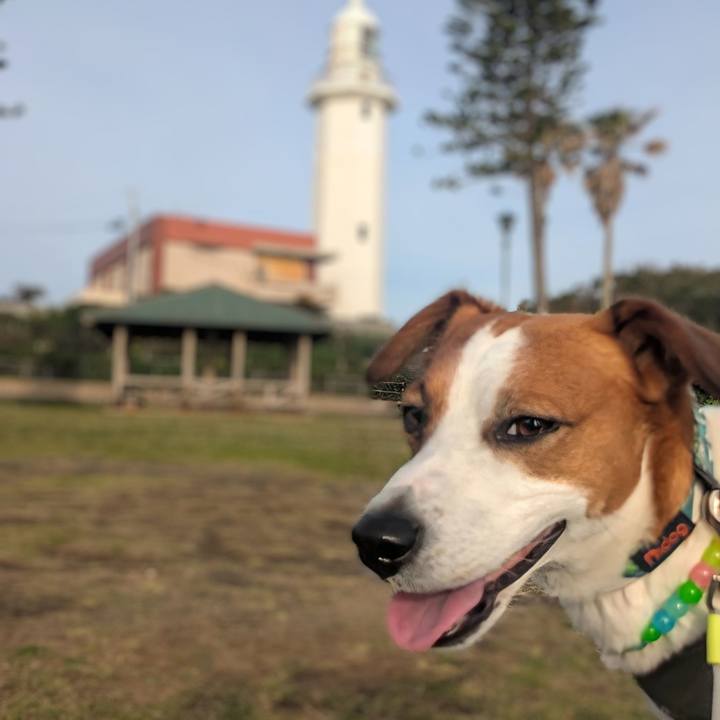 71c11a7b b5bb 45a6 93b0 85b1583fd380 1747218885069