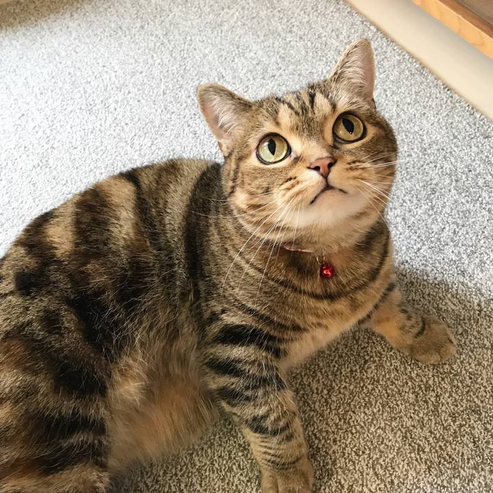 71c12544 3e86 4e93 9aff 1f742ebdb082 1523320824912