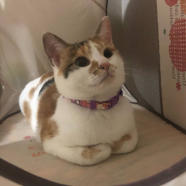 71c12e1a c13c 4b14 b49f 4b0ebaa4a802 1600865955480