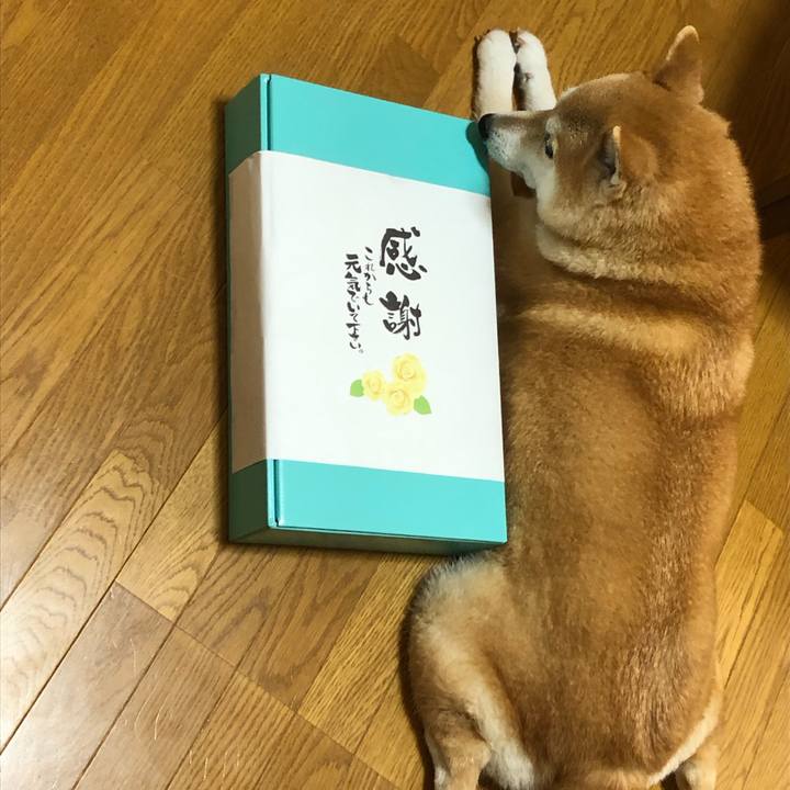 71c13353 2a47 4361 9de4 e8d6008fcce6 1592662425247