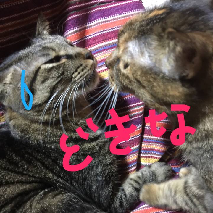 71c1478f 62a6 4f5d 8103 cb33be3ee760 1514915512281