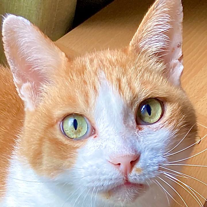 71c15c4c edbe 4463 a2dd d2730a46e6f3 1632454281796