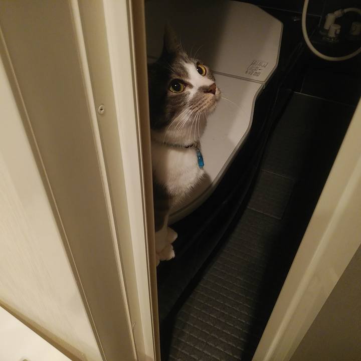 71c17a0b f126 4de6 b02e b31737db116f 1588169923024