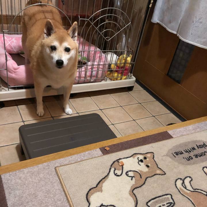 71c19612 77e7 4852 b22e e85da4ee4ef9 1601292264013